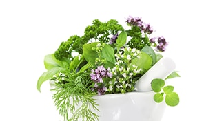 Kochbuch Frühling