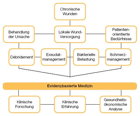 Coloplast Modell klinische Evidenz